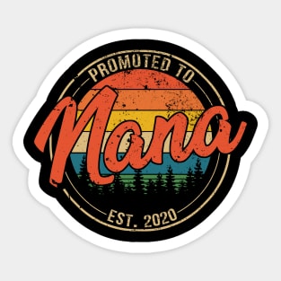 Promoted to Nana Est 2020 Mothers Day Gift Sticker